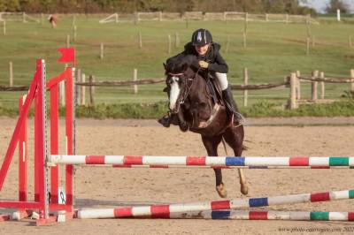 Merrie Welsh Pony (Section A) Te leen 2020 Zwart