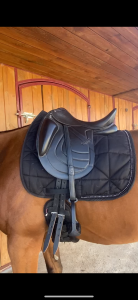 Selle eric thomas dressage