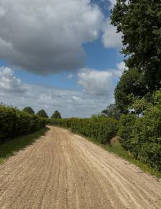 Cuadra de carrera en venta ile y vilaine