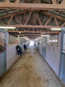 Equestrian property  hérault