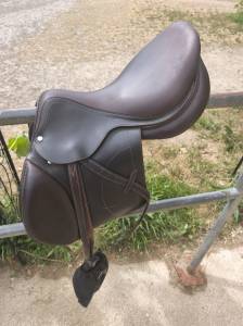 Sella mista arion  17