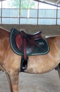 Selle mixte cwd 16,5