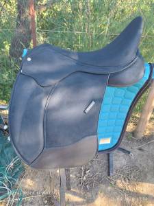 Sella da dressage wintec  17.5