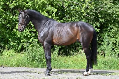 Gk quintus