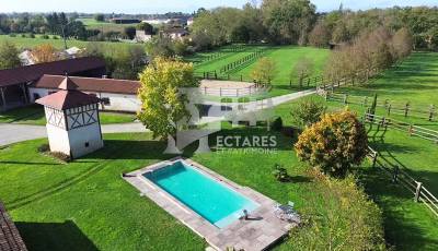 Equestrian bed and breakfast  puy-de-dôme
