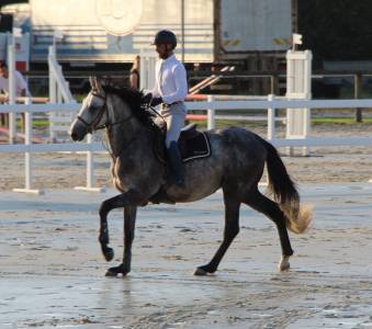 Male sf 4 ans catchar mail x casano