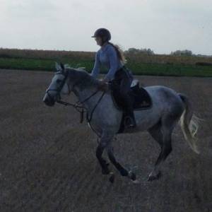 Cheval onc 2500€ 