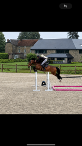 Hongre 5 ans par balou du reventon 