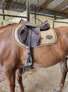Sella mista prestige italia  17
