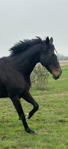 Penny - 8ans - 1m64