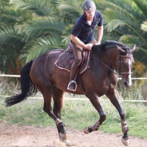 Cheval à donner ( 200€ pour la validation)