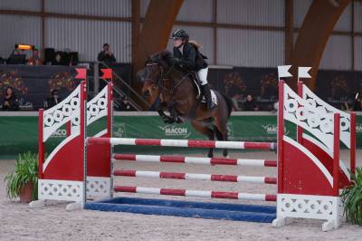 Merrie Franse rijpony PFS Te leen 2016 Donker bruin / bai ,  QUABAR DES MONCEAUX