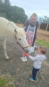 Cavalla camargue mezza-pensione 2016 bianco