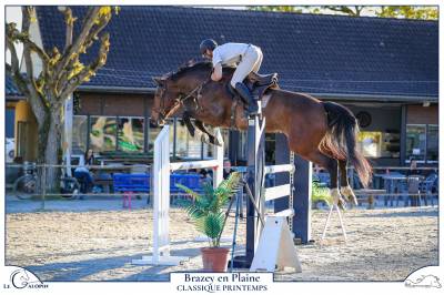 Khamma des baies 6 ans jument avec gros potentiel 