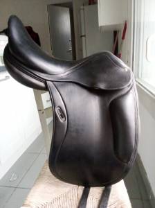 Selle dressage cwd