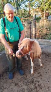pony intero