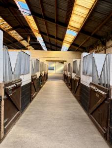 Couloir de boxes disponible - ig sports horses 