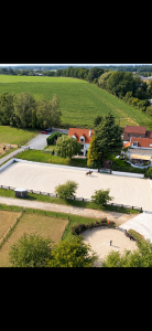 Nouvelles formules de pension - ig sports horses