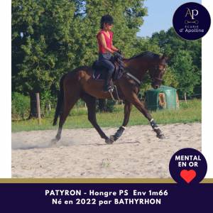 4 ans env 1m66 mental en or