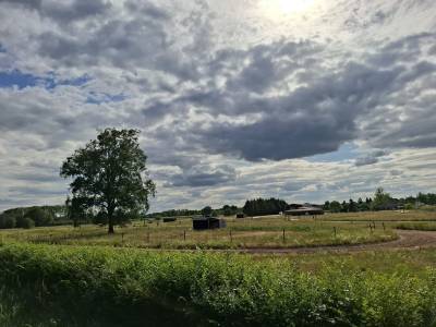 Propriété équestre de caractère sur plus de 5 hectares  s