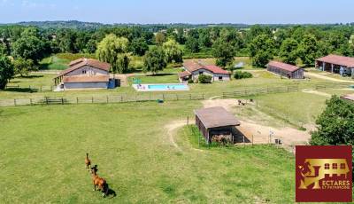 Equestrian property  ain
