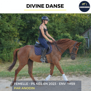 Divine danse - ps - 3 ans