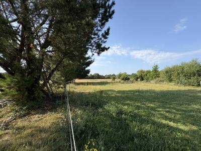 A proximité de la baule
