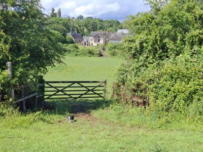 Propriété , maison dépendances et sur 1.9 hectare de terrain