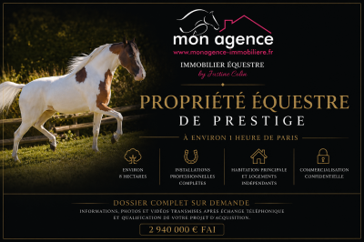 Acaballadero en venta parís