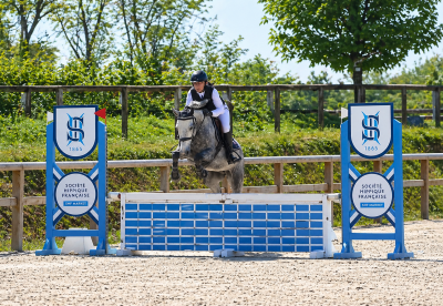 Castrone pfs pony francese da sella in vendita 2022 grigio