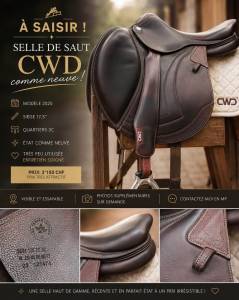 Selle cwd modèle 2025, en état comme neuve