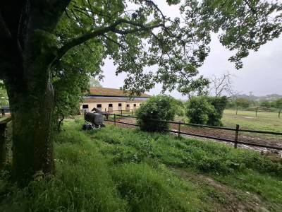 Centre équestre avec habitation et infrastructures complètes ?