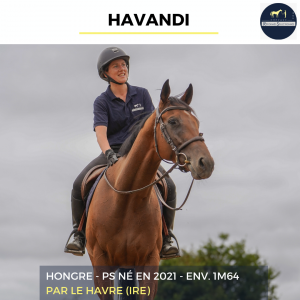Havandi - ps - 5 ans 