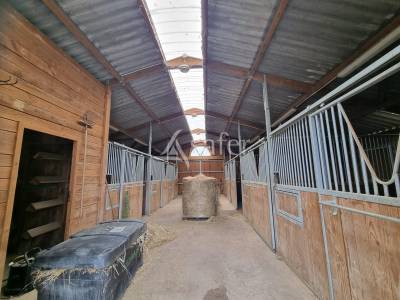 Propriété équestre sur 9 ha au nord du lot