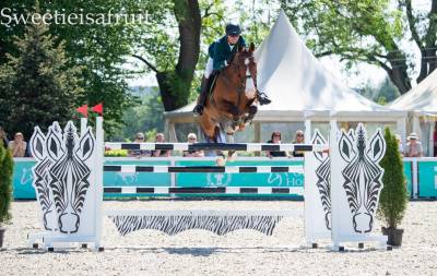 Very good show jumper