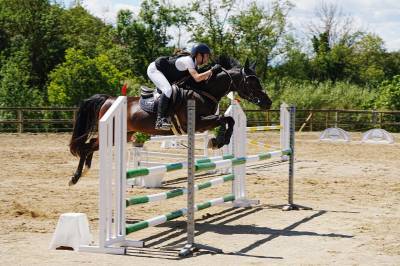 Poni salto pra 