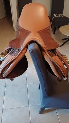 Sella mista   17