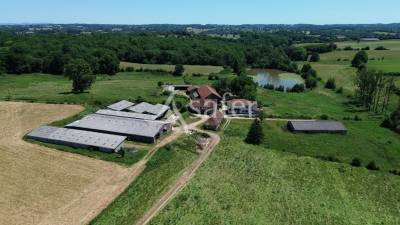 Sheep farm  corrèze