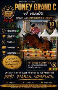 Ruin Ras onbekend Te koop 2016 Donker bruin / bai ,  Ismeretlen