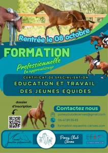 Formation CS Éducation et Travail du jeune équidé