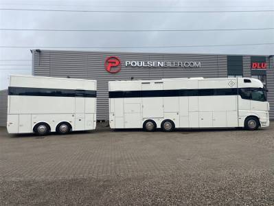 Camion per Cavalli Mercedes ketterer 2020 Occasione