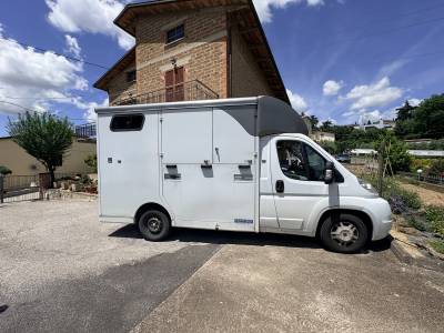 Van trasporto cavalli 
