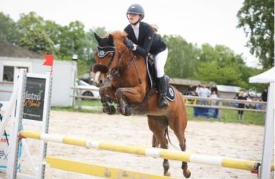 Merrie Franse rijpony PFS Te koop 2016 Vos
