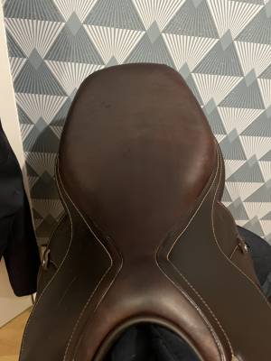 Selle antares