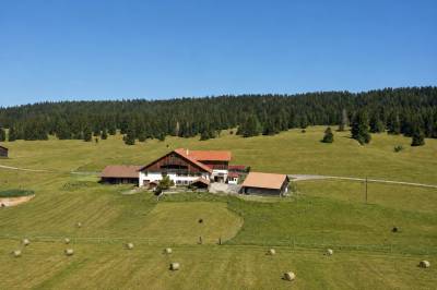 Ferme &eacute;questre avec stabulations