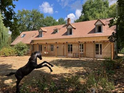 Propiedad ecuestre en venta sarthe