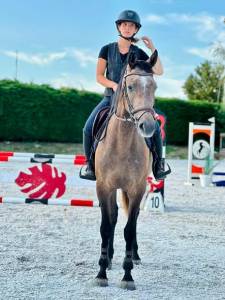 Canela jolie jument de 4 ans