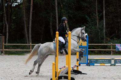 Ruin Connemara Te koop 2018 Schimmel ,  CANNON BALL BRIOVERE