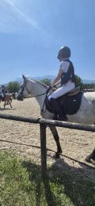 CONNEMARA HONGRE 4 ANS