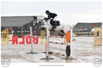 Dekhengst Franse rijpony PFS Te koop 2017 Schimmel ,  CONSUL DE LA VIE Z